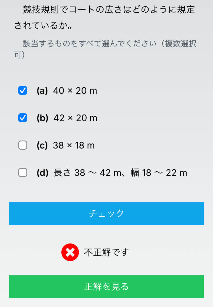 解答チェック画面のサンプル